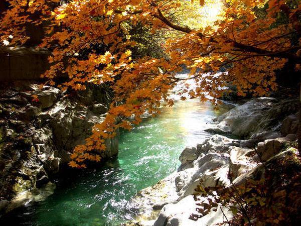 Kinryuen Numata (Gunma) Ngoại thất bức ảnh
